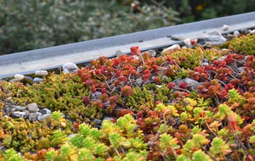 the cost of Fenny Compton green roof installation